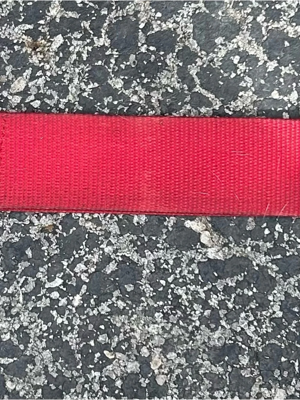 Red Nylon Dog Collar with Paw-Print Metal Slide